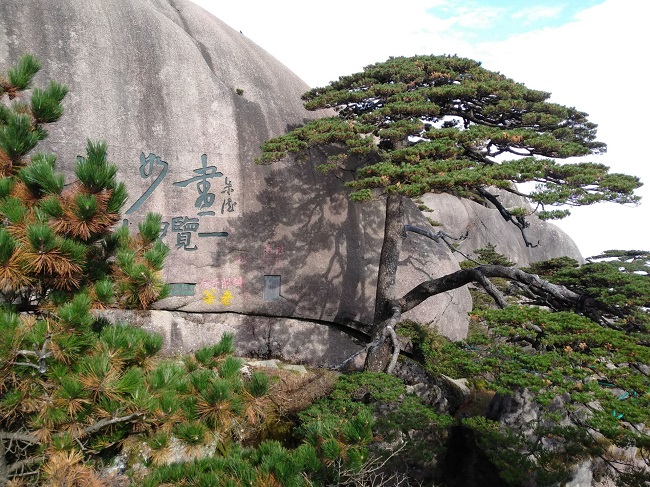 日登黃山，夜醉溫泉！